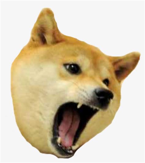 Doge Meme PNG Images | PNG Cliparts Free Download on SeekPNG