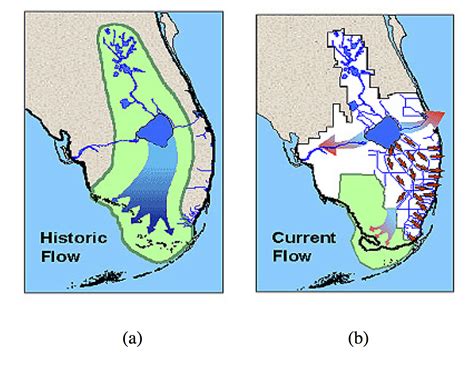 The Everglades wetlands - Introduction to Sustainability Science