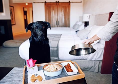 The Pawsh Life: 18 Hotels with Dog Room Service Menus - BringFido