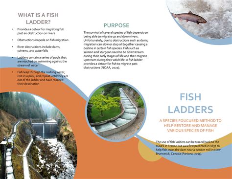 Restoration Pamphlet - WHAT IS A FISH LADDER? Provides a detour for migrating fish past an - Studocu