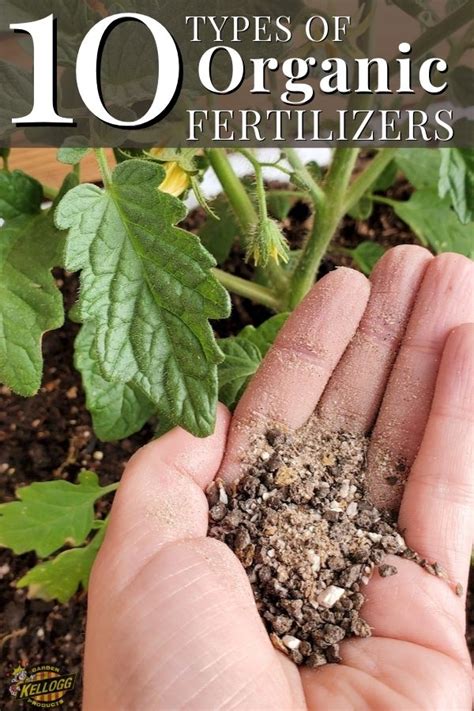 10 Types of Organic Fertilizers | Kellogg Garden Organics™