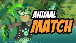 Wild Kratts Animal Match Pbs Kids Game | CBBC Games | Play Online For Free