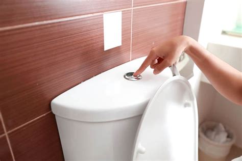 10 Best Upflush Toilets of 2023 – Macerating Toilet Reviews