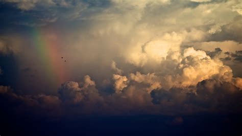 nature, Sky, Rainbows, Clouds, Birds Wallpapers HD / Desktop and Mobile Backgrounds