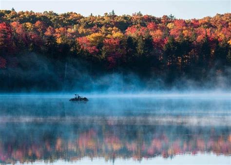 Forest photography: How to take dreamy photos in the woods