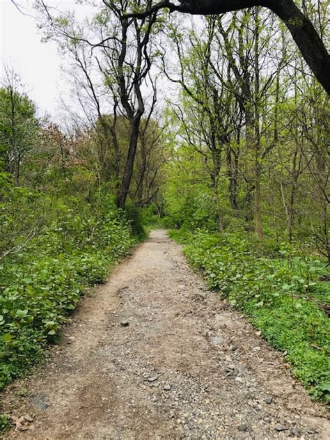 Wissahickon Valley Park - Northeast Allie