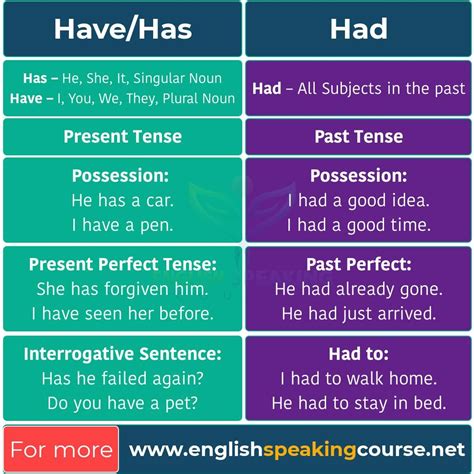 Have Has Had Basic English Grammar - Grammar in 2022 | English grammar ...