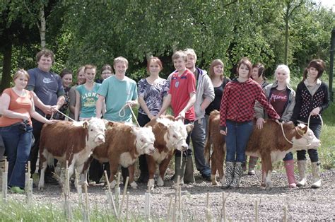 Miniature Hereford Cattle - Chater Valley Farm | Hereford cattle ...