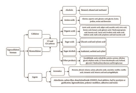 Possible products obtained in a biorefinery [36–38]. | Download ...