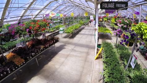 Aurora, Colorado, USA-June 8, 2016. Abundance Of Colorful Flowers At The Garden Center In Early ...