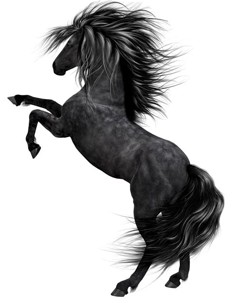 Black Horse Art | Gallery Yopriceville - High-Quality Images and Transparent PNG Free Clipart