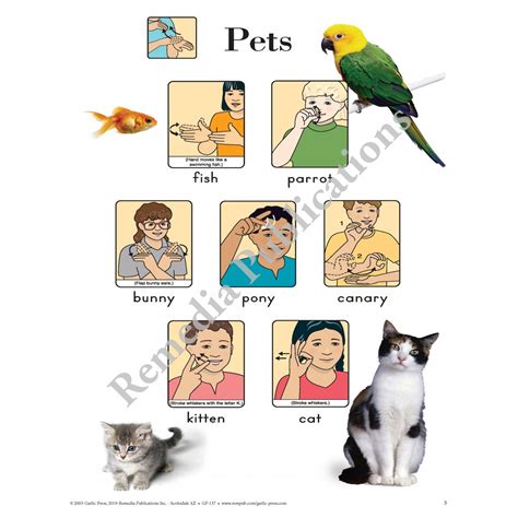 Animal Signs: Sign Language Chart