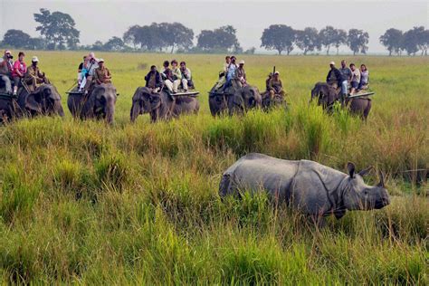 33 Best Tourist Places In Assam: The Charm Of The North-East In 2023