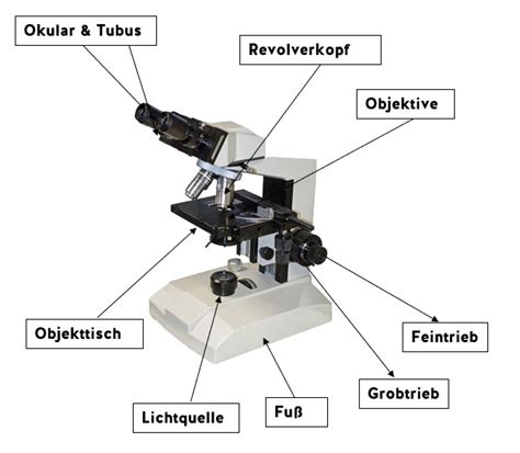 Angewandt Die Geduld Marmelade wie funktioniert ein mikroskop Mörder Transistor Zueinander in ...