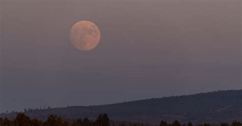 The Sturgeon Moon Is Coming — Here's What That Means