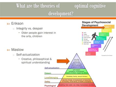 PPT - Late Adulthood: Cognitive Development PowerPoint Presentation, free download - ID:2130605