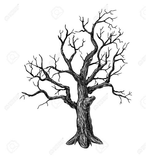 Leafless Tree Silhouette at GetDrawings | Free download