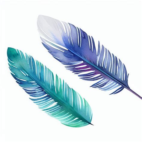 Two Feathers Digital Art by Natasha Sanchez - Fine Art America