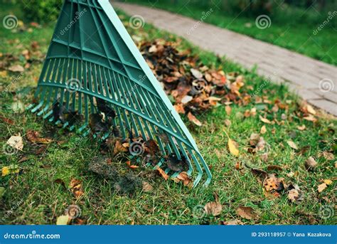 Pile of Fall Leaves with Fan Rake Stock Image - Image of legs, care: 293118957