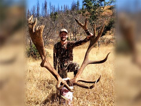 Oregon Bowhunter Arrows State-Record Roosevelt Bull | Outdoor Life