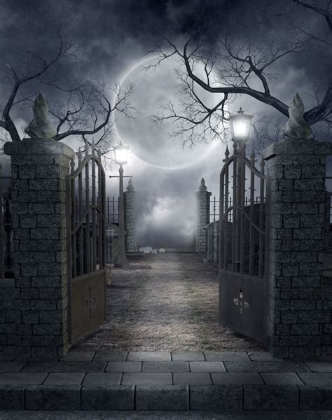 Pin by Jo on Dark & Gothic | Halloween photography, Halloween photography backdrop, Halloween ...