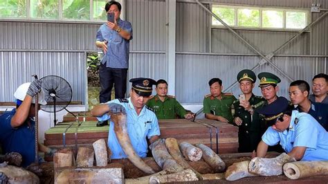 Can Vietnam Stop Its Trade in Endangered Wild Animals? — Radio Free Asia