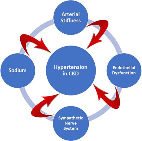 Factors associated with hypertension in patients with CKD | Download ...