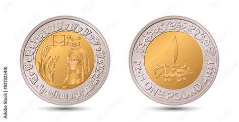 Egypt 2021. Commemorative coin "Agriculture". Reverse and obverse of ...