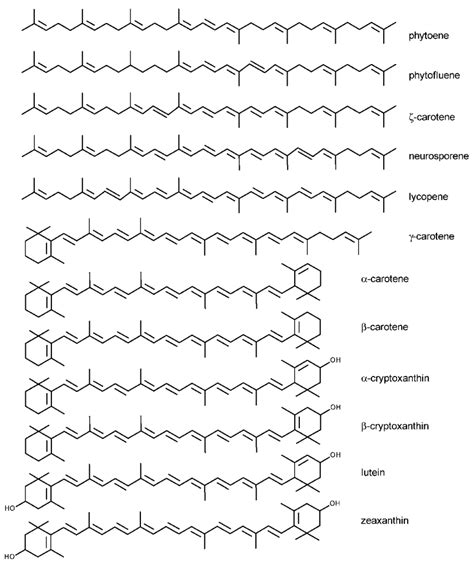 Recent Advances in the Carotenoids Added to Food Packaging Films: A Review