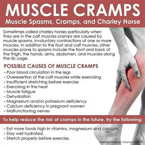 Pin by Michelle Meidinger on Health stuff | Muscle cramp, Calf muscle ...