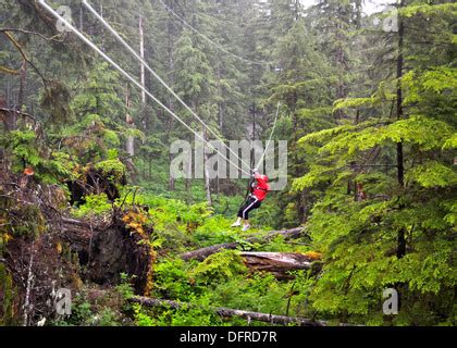 Ziplining in the forest of Ketchikan, Alaska Stock Photo - Alamy