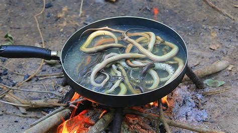 Fried Water Snake Recipe Eating Delicious - YouTube