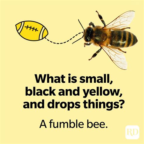 46 Bee Puns Your Whole Hive Will Love | Funny Bee Jokes & Honey Puns