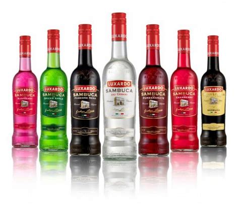 The History, Benefits and Joy of Anisette • Italia Living