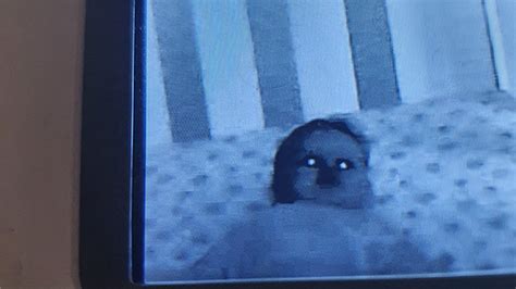 ‘Demon baby’: Parents’ terrifying baby monitor photo goes viral