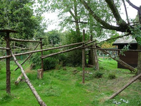 Red Panda enclosure at Birmingham Nature... © Phil Champion cc-by-sa/2. ...