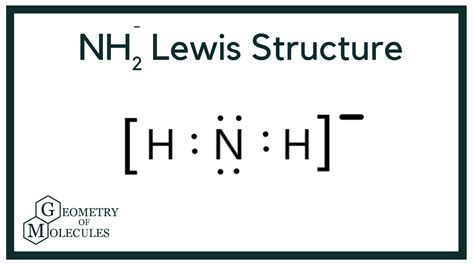 NH2- Lewis Structure (Amide Ion) | How to find out, Molecules, Lewis