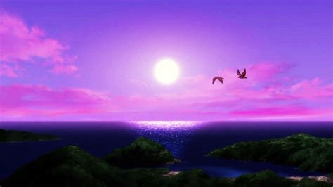 Purple Sunset Wallpaper - WallpaperSafari