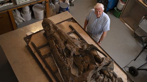 Giant skull of prehistoric sea monster found preserved on England's Jurassic Coast