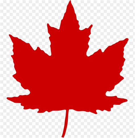 Free download | HD PNG maple leaf canadian maple leaf PNG transparent with Clear Background ID ...