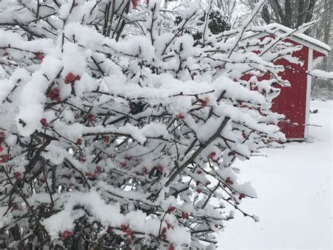 Updated N.J. snowfall totals: Which towns got the most snow from the spring coastal storm? - nj.com