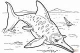 Ichthyosaur coloring Page  Free Printable Coloring Pages sketch template