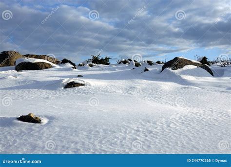 Winter Tundra Landscape with Snowy Surface with Stones and Large ...