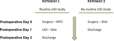 Clinical postoperative pathways in bariatric surgery. NPO indicates ...