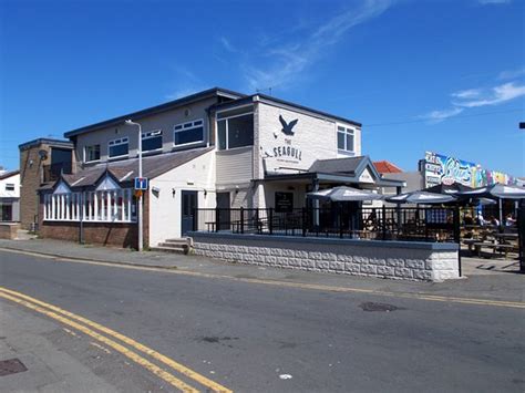 Smelly dirty pub - The Seagull, Towyn Traveller Reviews - Tripadvisor