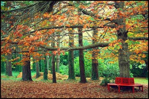 autumn, Park, Bench Wallpapers HD / Desktop and Mobile Backgrounds