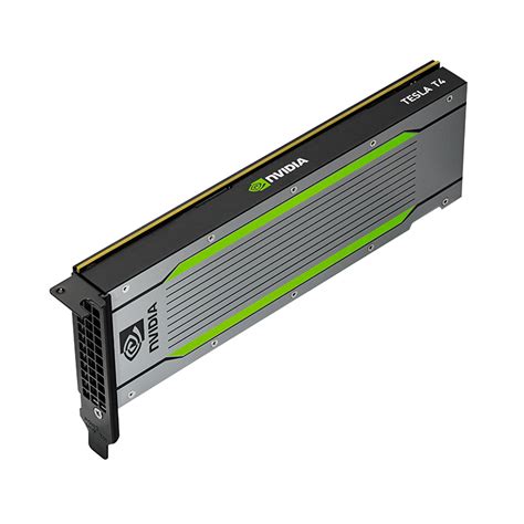 Discover NVIDIA T4 | Data Center GPUs | pny.com