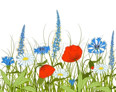 Field Of Flowers Clipart - Draw-leg