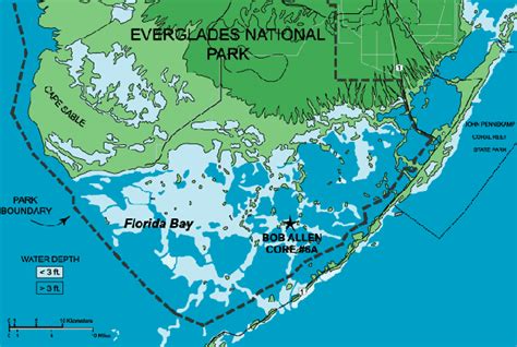 News: Everglades National Park has good news for us - Fly Life Magazine