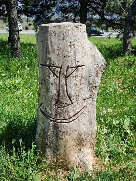 Happy Stump | A happy face carved into a tree stump! | Shawn Carpenter | Flickr